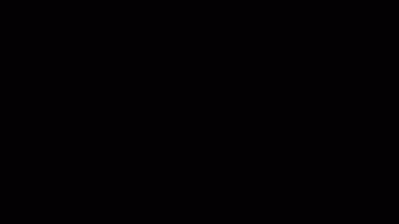 Механизм дозарядки Bisonte C45