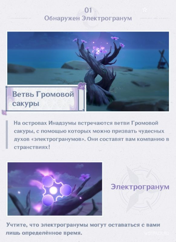 Ветвь Громовой сакуры и Электрогранумы Genshin Impact 2.0