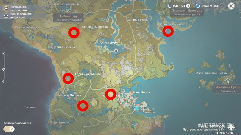 Руинный охотник на карте Genshin Impact