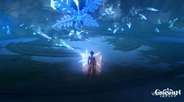 крио заряды папоротника