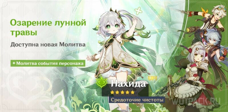 Баннер Нахиды