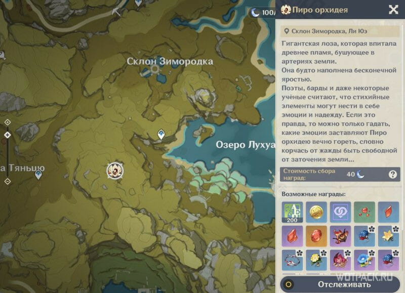 пиро орхидея на карте