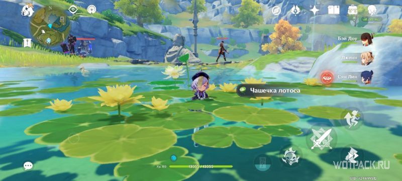 чашечки лотоса у гробницы дуньюй