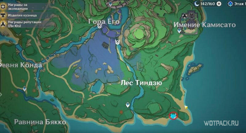 Кайраги в Лесу Тиндзю