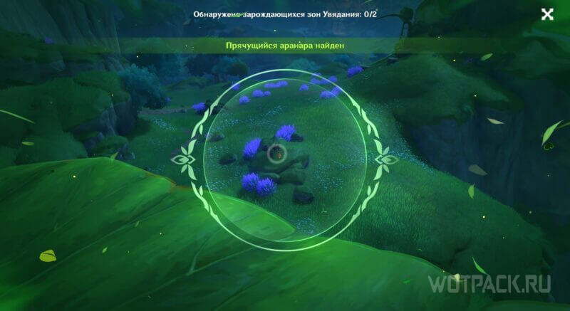 Тридцать первый через линзу