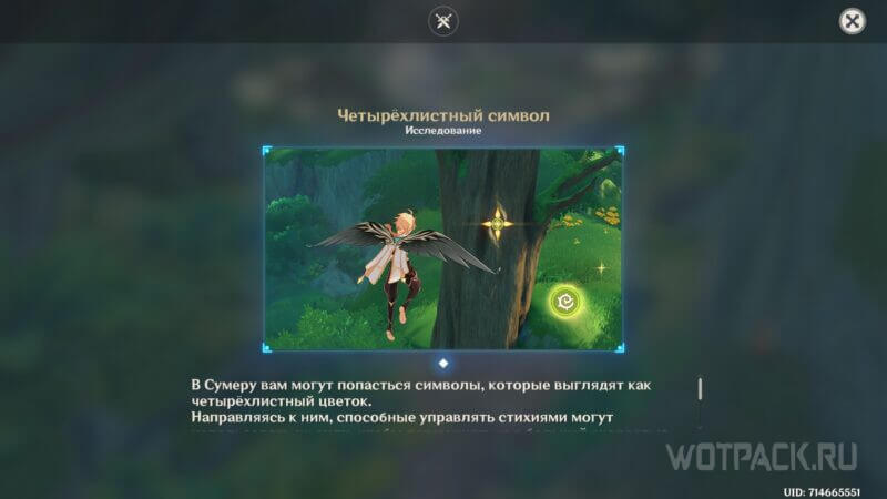 Обучение