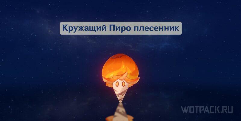 Кружащий Пиро плесенник характеристики
