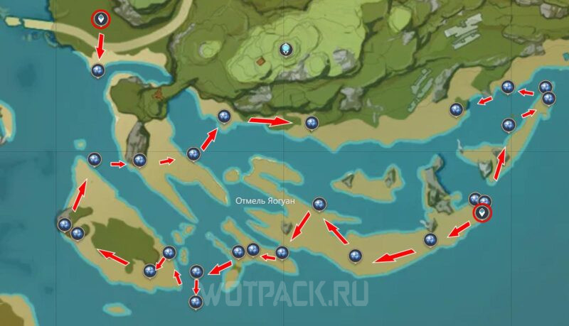 Звездные ракушки на побережье деревни Миньюнь (маршрут 3)