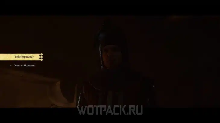 Выбор ответа Аулитцу.